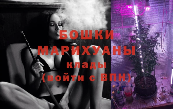 ECSTASY Белокуриха