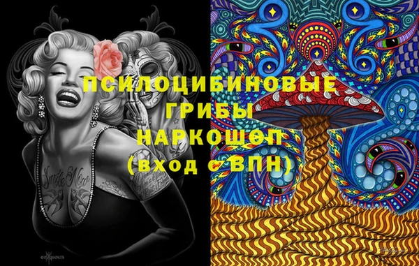 PSILOCYBIN Алексин