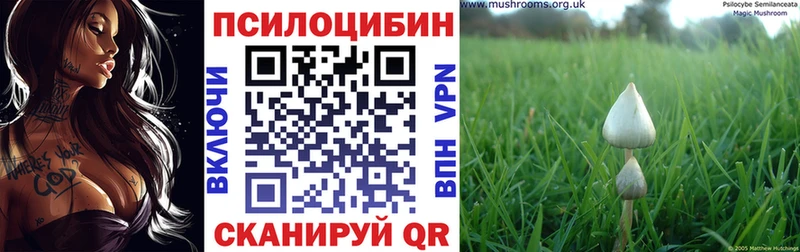 Псилоцибиновые грибы мухоморы  магазин    Курган 