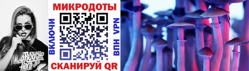 Галлюциногенные грибы Psilocybine cubensis Курган